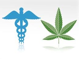 United States Government Owns Patent on Marijuana