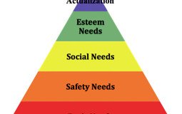 Home Grown American Sustainability From the Ground-Up