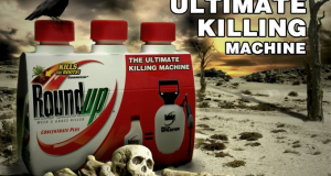 EPA About to Raise Allowable Amount of Roundup Herbicide on Foods, Edible Oils and Animal Feed – Comments Needed by July 1