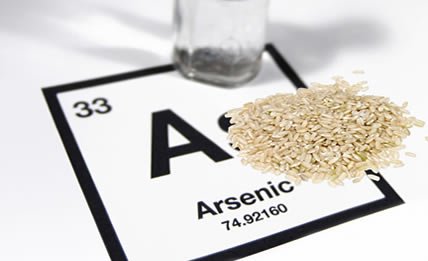 arsenic rice