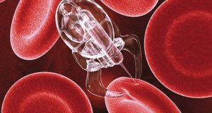 As if GMOs Weren’t Terrifying Enough – Nanotech in Stores Now