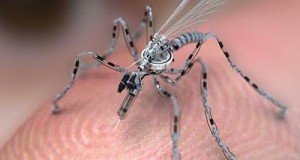The Coming Micro-Drone Revolution – Roaches, Mosquitoes and Birds