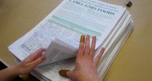 GMO Labeling Initiative 522 Seems to Have Failed, Proving Manipulating Facts Can Sway Voters