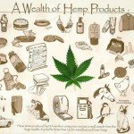 The Feds About to Legalize Hemp