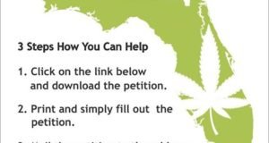 Proposed Florida Ballot to Allow Growing Cannabis and Regulate Like Alcohol