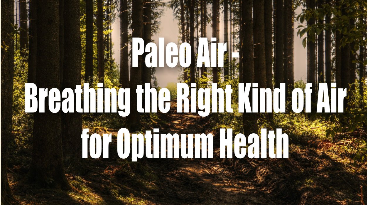 Paleo Air - Breathing the Right Kind of Air for Optimum Health