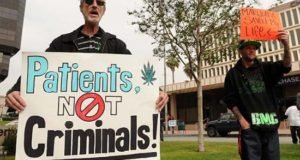 Outcry From Cannabis Supporters Jampack Public Hearing on Amendment 2