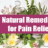 5-Natural-Remedies-for-Pain-Relief