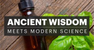 Essential Oils Ancient Wisdom Meets Modern Science - Natural Revolution
