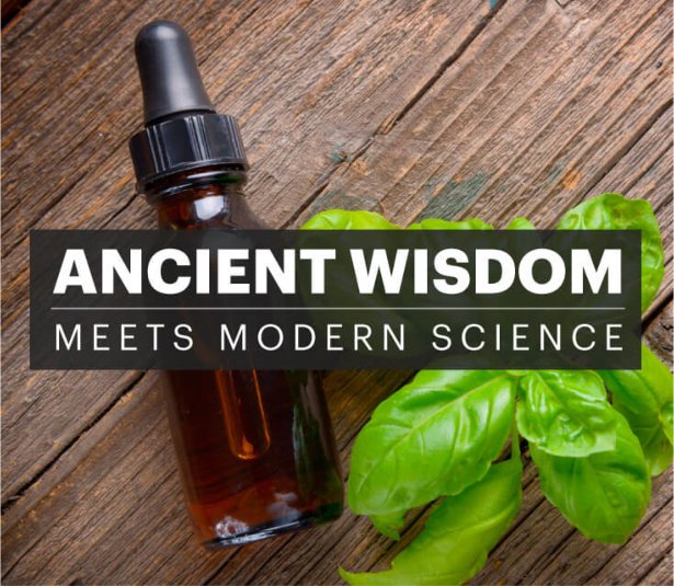 Essential Oils Ancient Wisdom Meets Modern Science - Natural Revolution