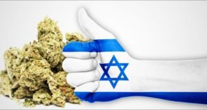 U.S. Has Funded Israeli Cannabis Research For 50 Years
