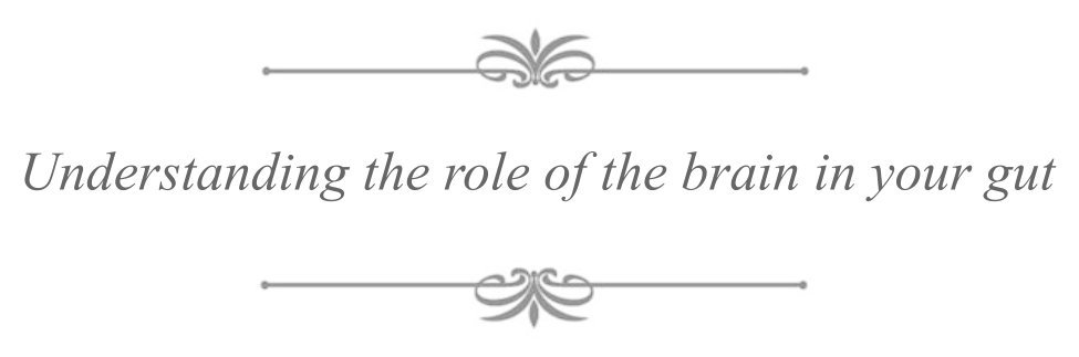 Understanding the role of the brain in your gut