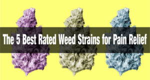 The 5 Best Rated Weed Strains for Pain Relief