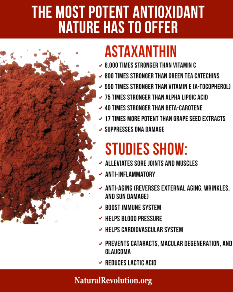 Nature's Most Powerful Antioxidant You Never Heard Of - Astaxanthin