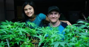 11-year-old Sues Federal Government to Legalize Medical Marijuana