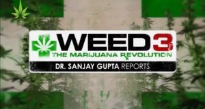 Weed 3: The Marijuana Revolution