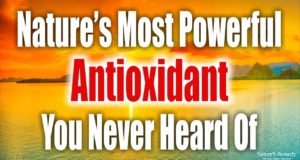 Nature's Most Powerful Antioxidant You Never Heard Of