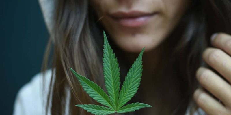 Find Out How Long Does Marijuana Stay in Your Hair Follicles