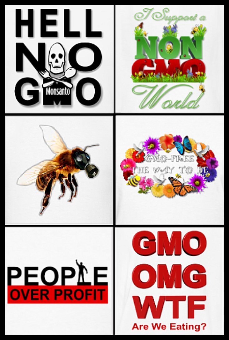 Click to visit our shop